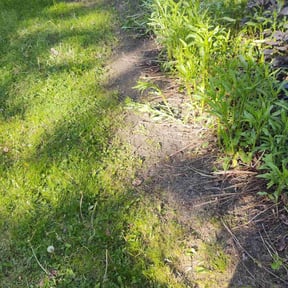 Leaf Removal by Rjs landscaping and general clean up llc reviewed on October 1, 2025