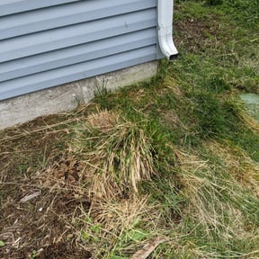 Bush Trimming by Lawn Impression reviewed on August 20, 2025