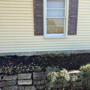 grass maintenance by Twisted Roots LLC reviewed on August 6, 2025