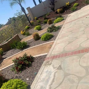 Flower Bed Weeding by Tri Stars landscaping and Snow Services LLC reviewed on August 17, 2025