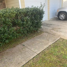 Bush Trimming by Rayzor sharp lawn service reviewed on August 19, 2025