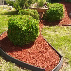 Bush Trimming by Jay Jay & W Landscaping, LLC reviewed on August 19, 2025