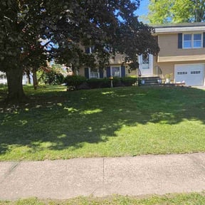 lawn care services by Just Cuts Lawn Care reviewed on October 19, 2023