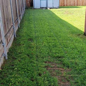 lawn maintenance by AFNF Services reviewed on April 27, 2024
