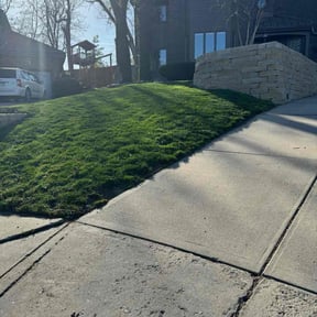 landscaping services by Jay's lawn and landscaping reviewed on August 19, 2025