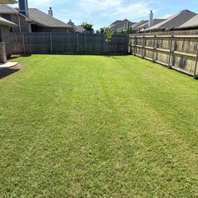 landscape maintenance by Salone Lawn & Tree Service LLC. reviewed on August 15, 2025