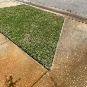turf care by MR Lawn reviewed on April 11, 2024