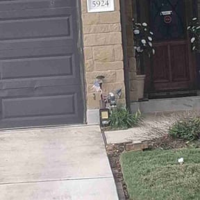 Flower Bed Weeding by MP LAWN CARE reviewed on April 18, 2026