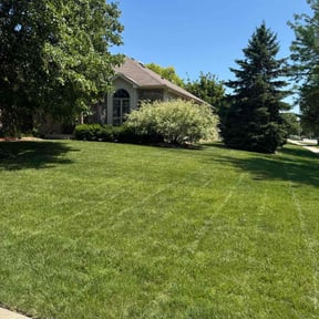 yard work by Betts Greenery reviewed on August 16, 2025