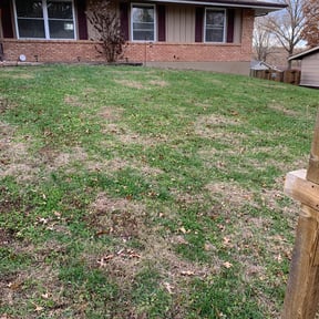 Leaf Removal by Lee's Mowing reviewed on August 16, 2025