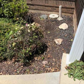 Flower Bed Weeding by COOL MOW reviewed on June 21, 2026