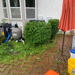 Bush Trimming by KA Unlimited reviewed on August 15, 2025