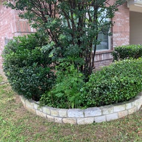 Bush Trimming by Frady's Lawncare and Handyman Services reviewed on August 20, 2025