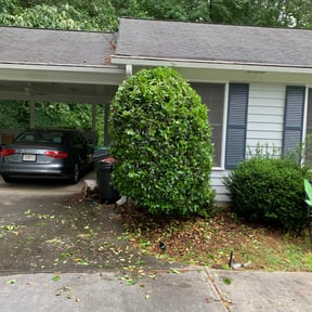 Bush Trimming by Jo Lawn Care reviewed on August 21, 2025