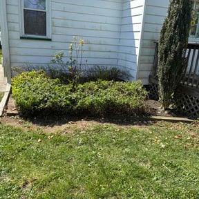 Bush Trimming by AffordableAcres reviewed on April 14, 2026