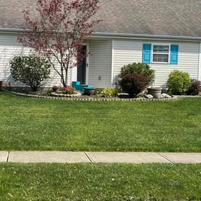 yard care by Real Deal Lawn Care LLC reviewed on June 3, 2022