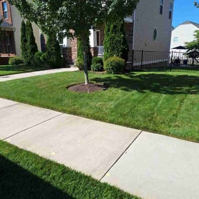 yard work by Yards Done Daily reviewed on August 15, 2025