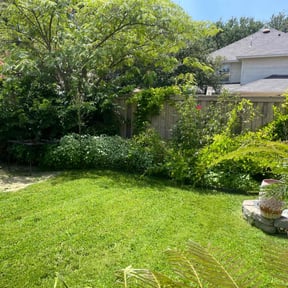 landscape maintenance by Let Us Do It For You reviewed on January 8, 2026