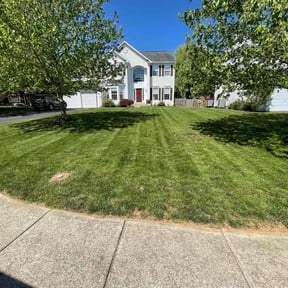 gardening service by Mr Tech Master Enterprise LLC reviewed on November 21, 2025