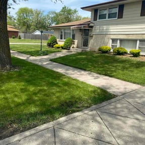 residential landscaping by Premier Lawn Care & Snow Removal reviewed on August 21, 2025