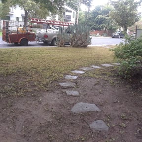 Leaf Removal by Transit LLC reviewed on August 19, 2025