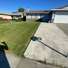 turf care by ClC Lawncare service reviewed on October 18, 2023