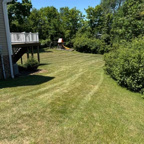 turf maintenance by Steady Operation Enterprises LLC reviewed on May 4, 2024