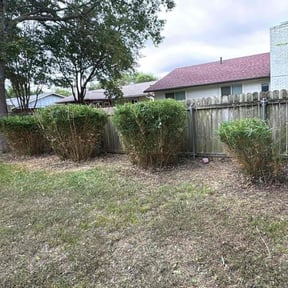 Bush Trimming by Moses’ Lawn Care reviewed on September 20, 2024