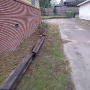 Leaf Removal by Outdoor Delight Landscaping reviewed on September 9, 2025