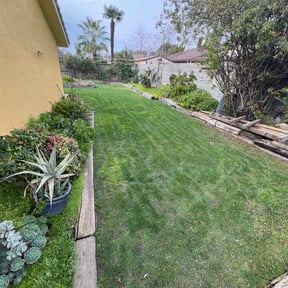 lawn care by Parker Landscape & Maintenance reviewed on February 8, 2024