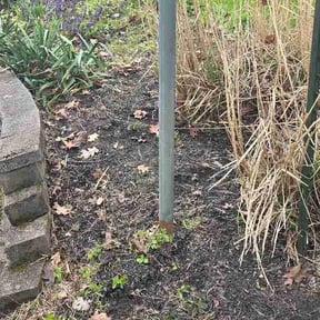 Leaf Removal by Imperial Lawn care and landscaping reviewed on August 5, 2026
