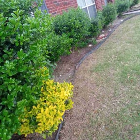 Leaf Removal by Braun Consulting reviewed on September 9, 2025