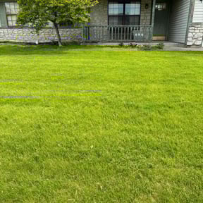 residential landscaping by A&R landscaping reviewed on August 15, 2025