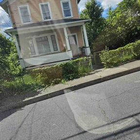 Bush Trimming by Solid landscaping reviewed on November 23, 2025