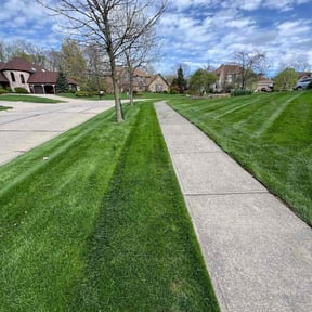 landscape maintenance by Ras property Management reviewed on August 16, 2025