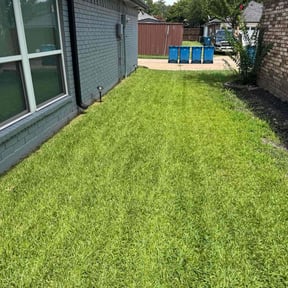 yard care by DKA handyman service reviewed on August 18, 2025