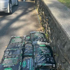 Leaf Removal by Our Vision Media LLC reviewed on May 21, 2026
