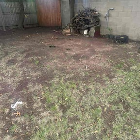 Leaf Removal by juan’s lawn service reviewed on November 8, 2025