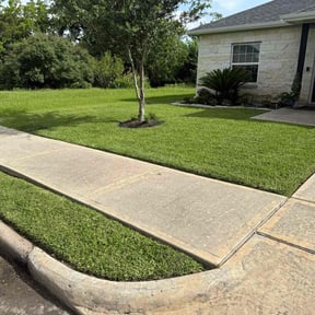 yard service by Bright Landscaping Services reviewed on August 20, 2025