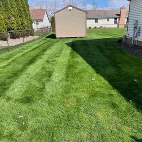 lawn care by CNR Landscaping reviewed on July 18, 2025