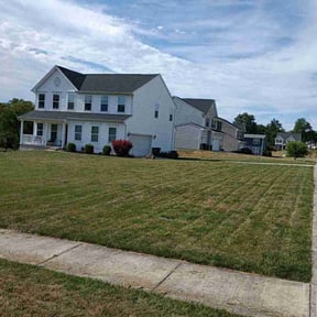 grass maintenance by Carlos Tapia reviewed on May 5, 2024