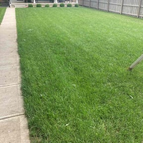 landscaping by Trappery reviewed on August 21, 2025