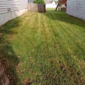 lawn care by Tidy Trim reviewed on May 2, 2025