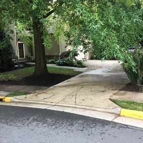 Flower Bed Weeding by Splendid Grass Lawn Inc reviewed on August 21, 2025