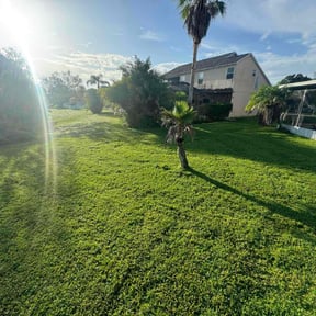 residential landscaping by Acheys landscaping LLC reviewed on August 16, 2025