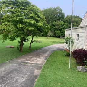residential landscaping by Downpour powerwashing reviewed on November 23, 2025