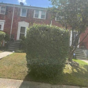 Bush Trimming by Alo&#039;s lawn care services LLC reviewed on April 30, 2023