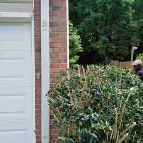 Bush Trimming by Lucy's Landscape reviewed on August 17, 2025
