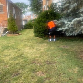 Bush Trimming by Ace lawn care reviewed on August 19, 2025