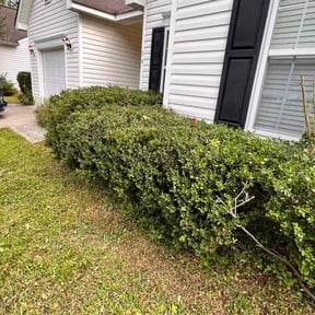 Bush Trimming by Justin Time Landscaping LLC reviewed on August 20, 2025